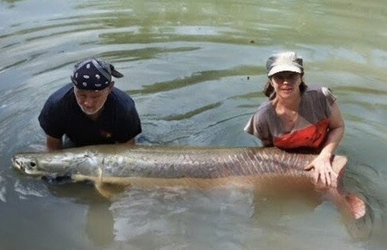 Chumphon Fishing Resort Thailand-春蓬必去景点