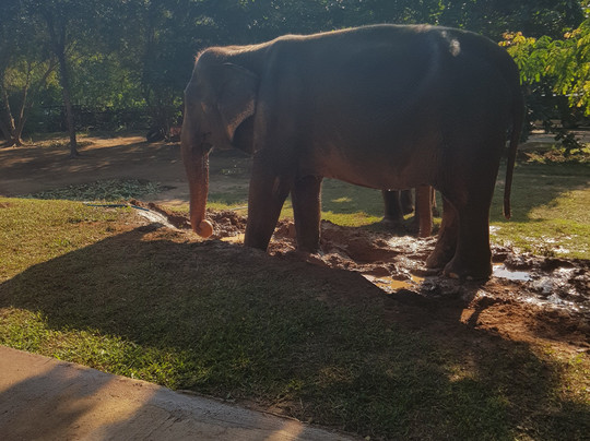 查汶海滩-查汶海滩必去景点