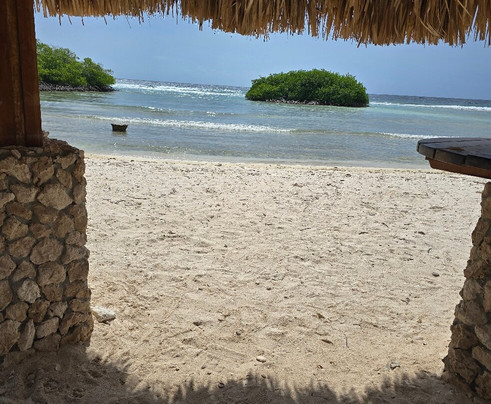 Nautilus Diving & Snorkeling Tours Aruba-萨瓦内塔必去景点