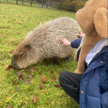 Secret Valley Wildlife Park-韦克斯福德必去景点