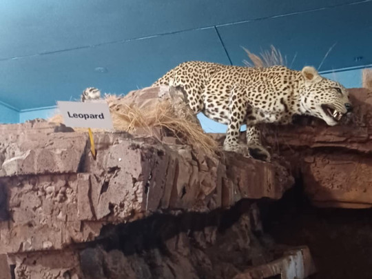 Interpretation Centre & Blyde Museum