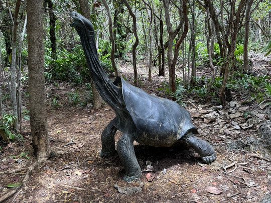 Mauritian Wildlife Foundation (MWF)-Vacoas必去景点