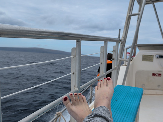 Maui Diamond Sea Sports-玛阿拉也亚必去景点