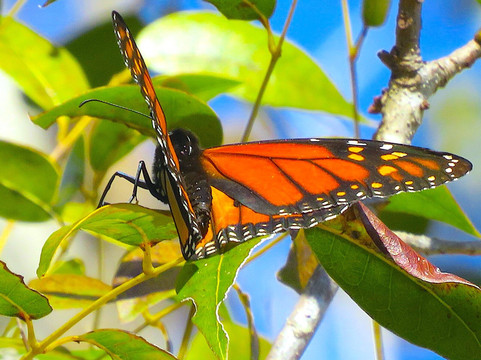 Rotary Park Environmental Center-开普科勒尔必去景点