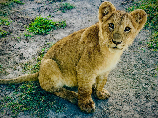 Kampur Travel Diaries-内罗毕必去景点