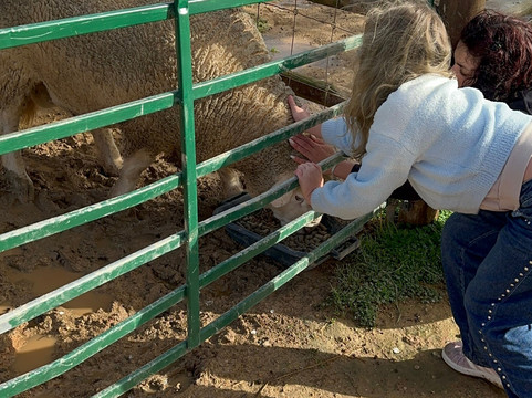 Quinta Fotoplanet Farm-阿尔布赞拉必去景点