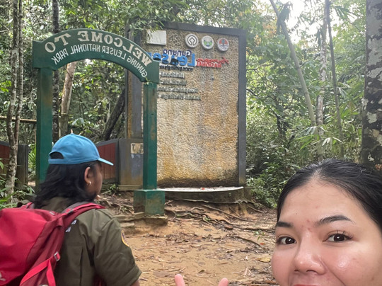 Sumatra Orang Utan Treks-武吉拉旺必去景点