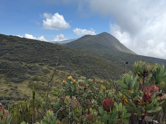 Ahambi Tours-南由基必去景点