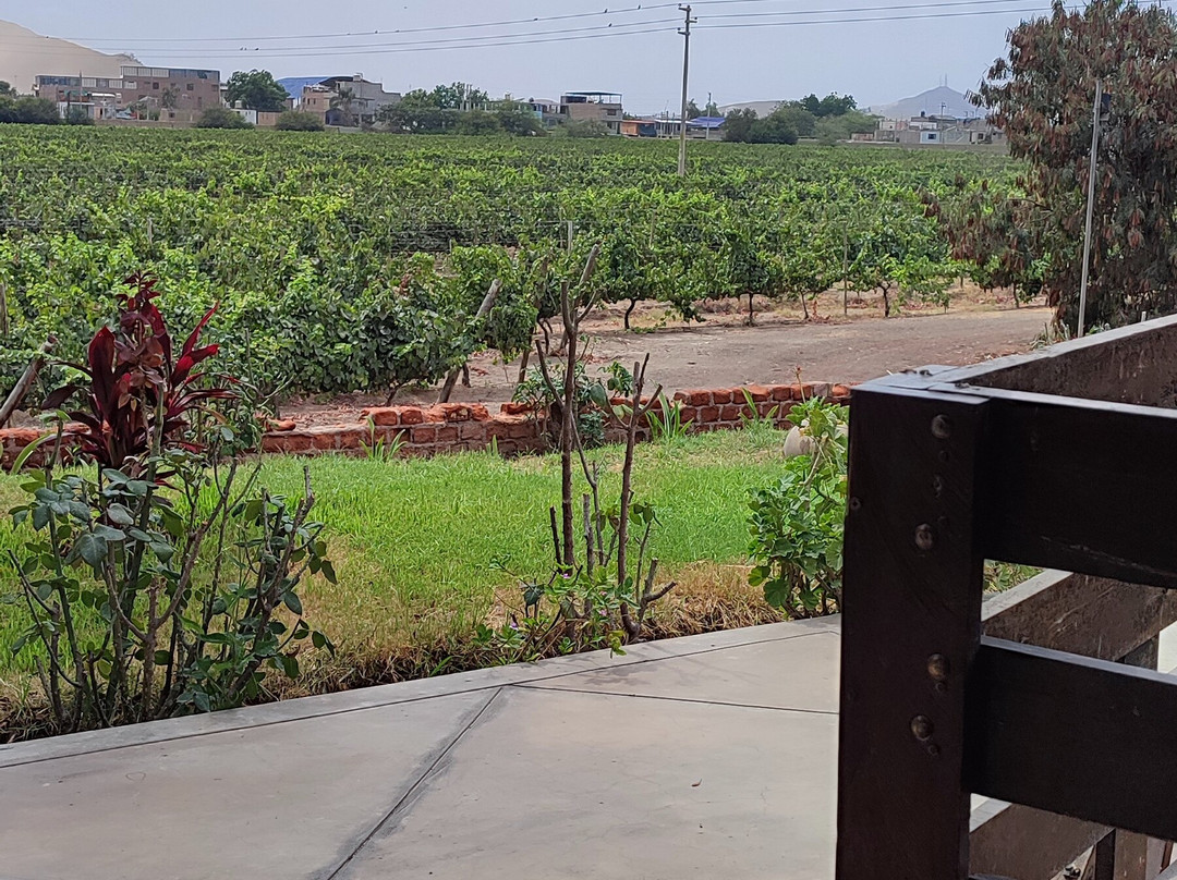 Bodegas Vista Alegre-伊卡必去景点