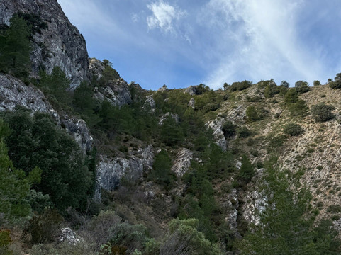 Parque Natural del Carrascal de la Font Roja-Alcoy必去景点