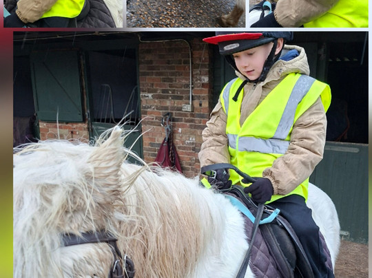 Sally's Riding School-St Helens必去景点