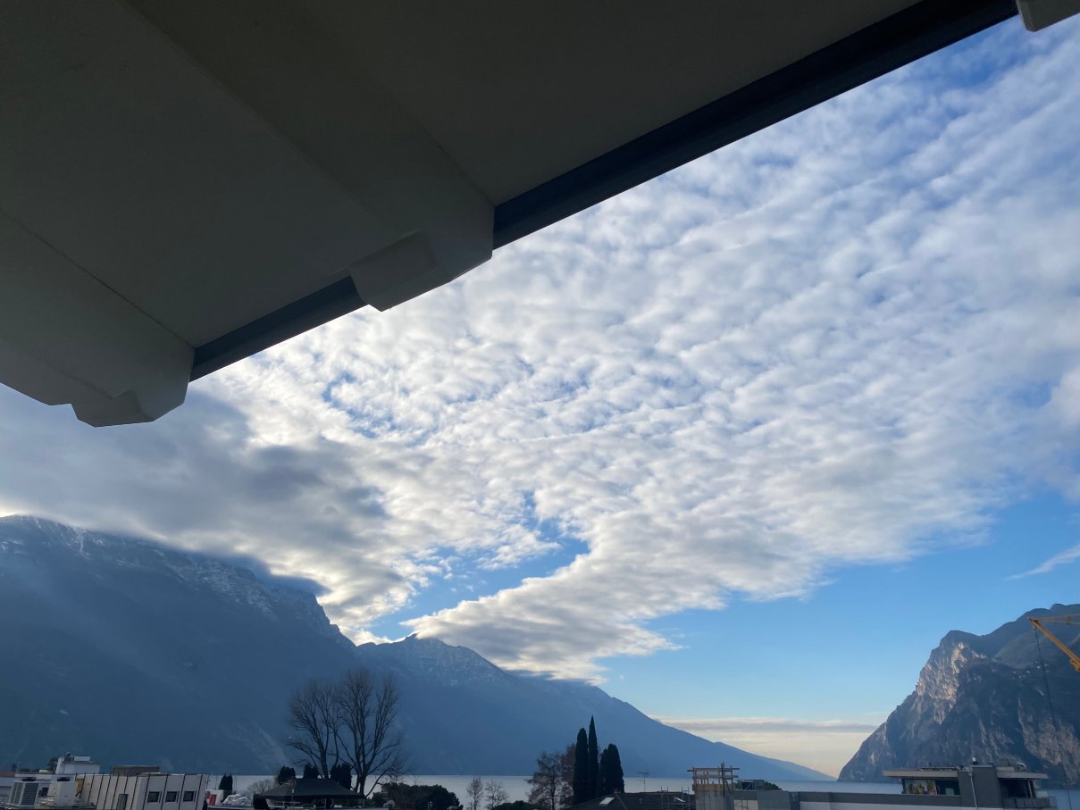 佛洛拉帕克酒店-官方