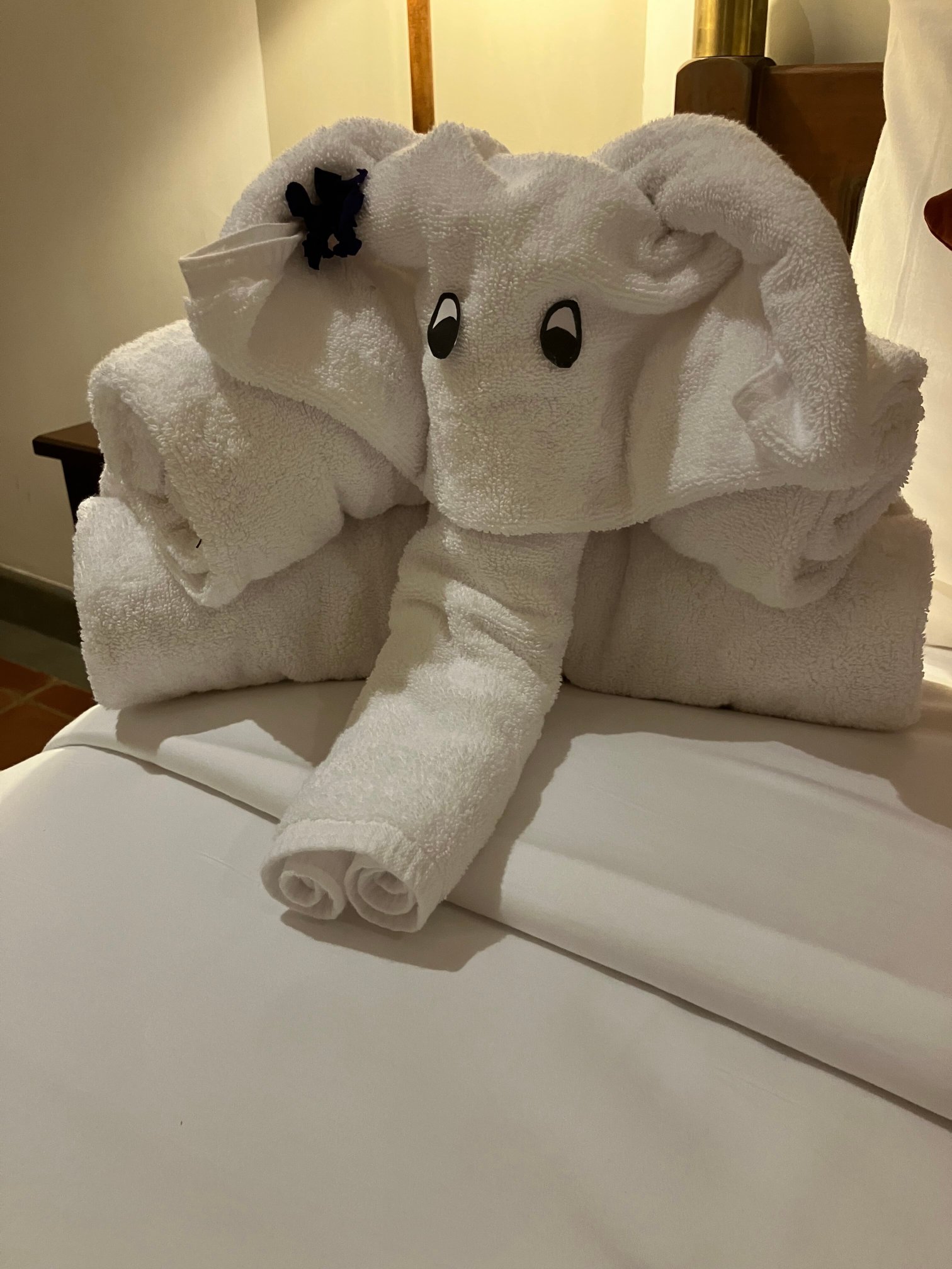 塔玛林德树酒店-官方