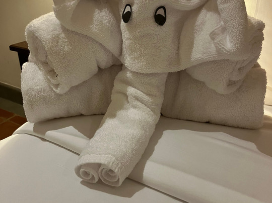 塔玛林德树酒店主图