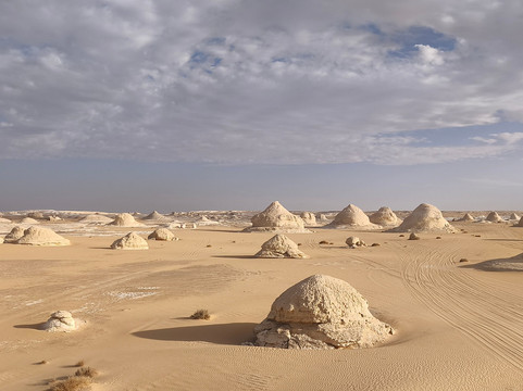 Western Desert Travel-Bahariya Oasis必去景点
