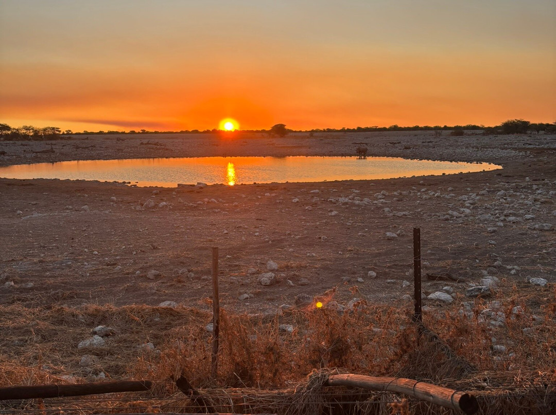 Okaukuejo waterhole-纳米比亚埃托沙国家公园必去景点