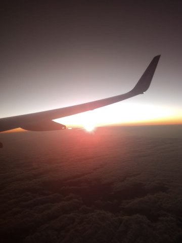 Starfish Cayo Largo-官方