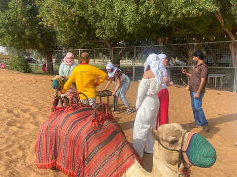 Eagle Tours Dubai-迪拜必去景点