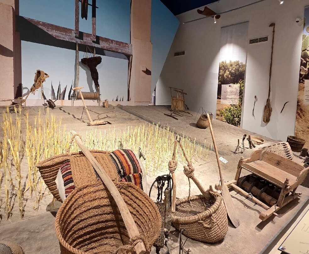 Musee du Patrimoine Traditionnel Djerbien-Houmt Souk必去景点