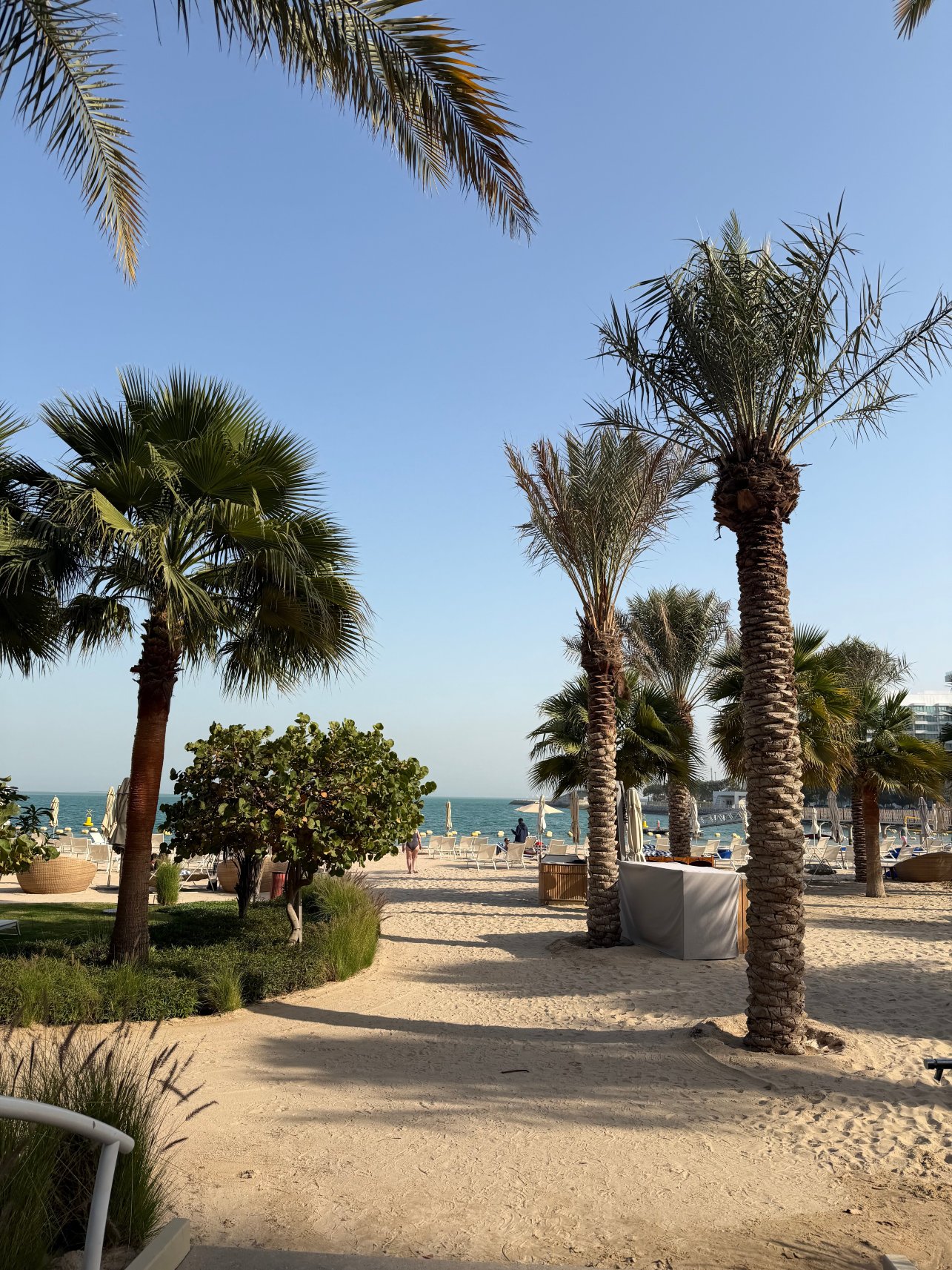 Waldorf Astoria Doha Lusail-官方