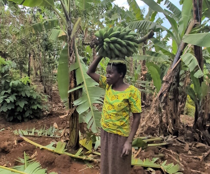 Sipi Falls Tours-Sipi必去景点