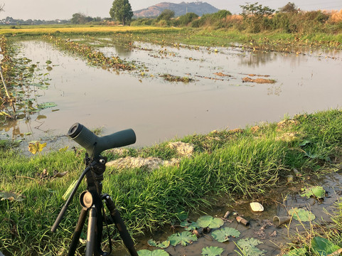 SVC野生动物保护区-暹粒必去景点