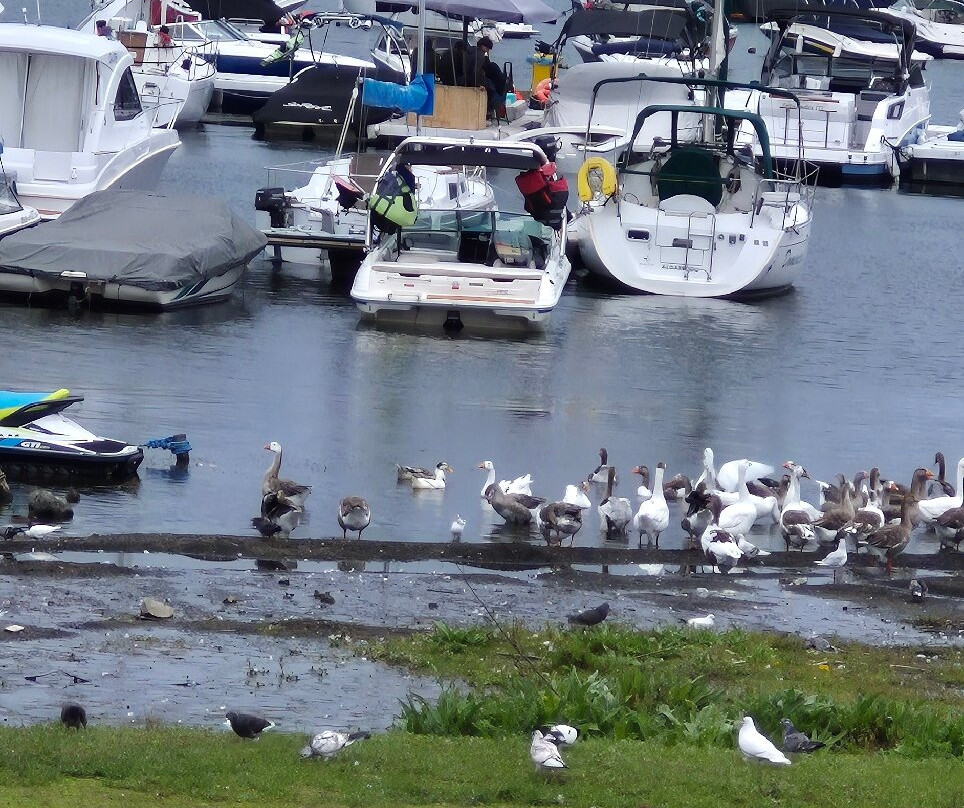 Lago Villarrica-普孔必去景点