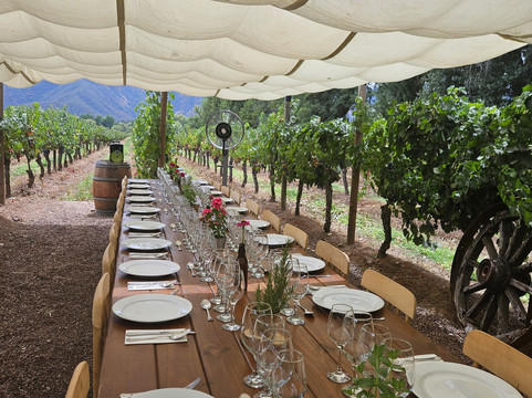 Viña Casa Acosta-San Vicente de Tagua Tagua必去景点