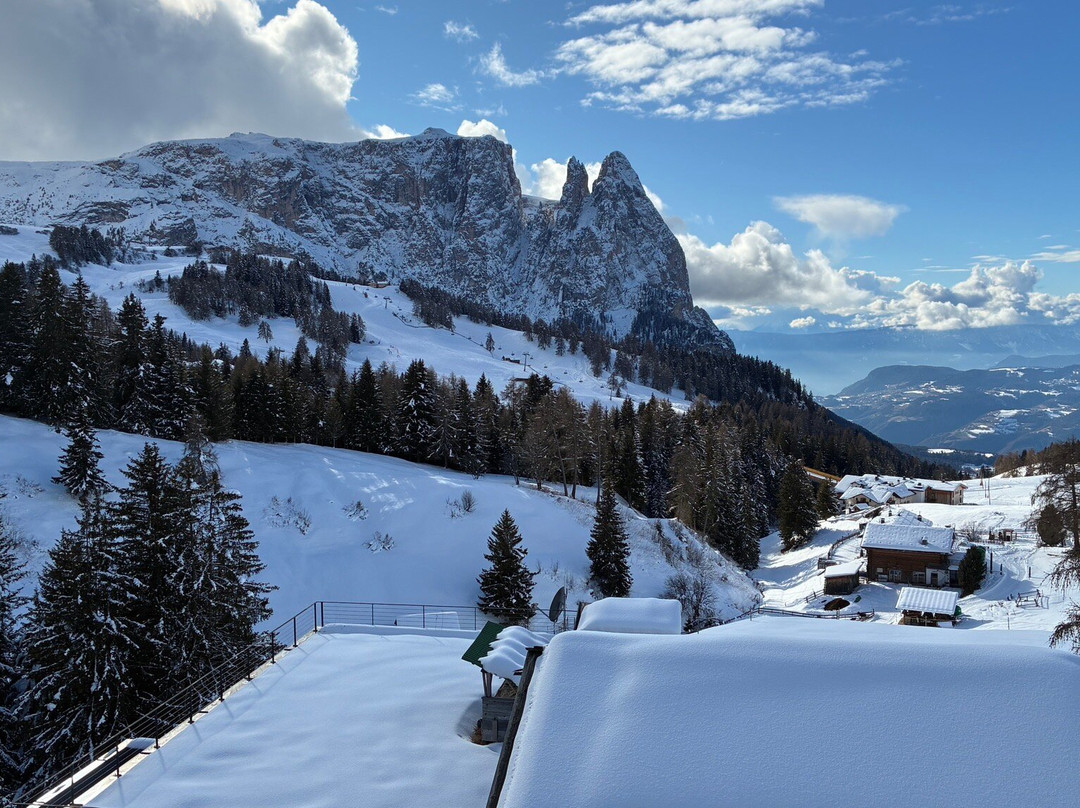 沙莱多洛米蒂酒店主图