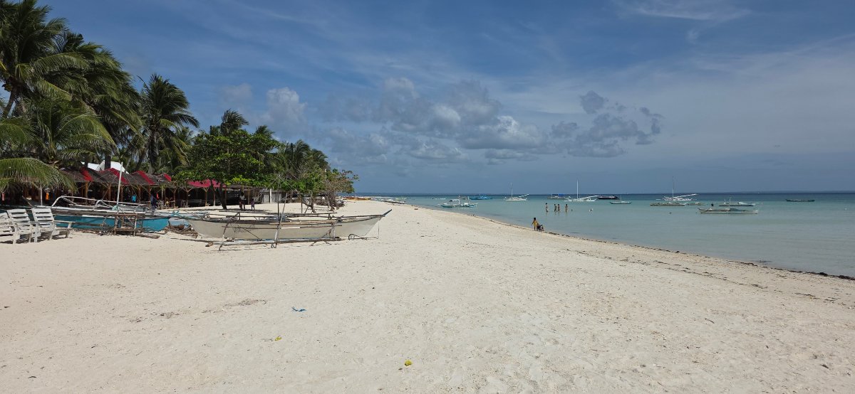 周日花朵酒店-官方