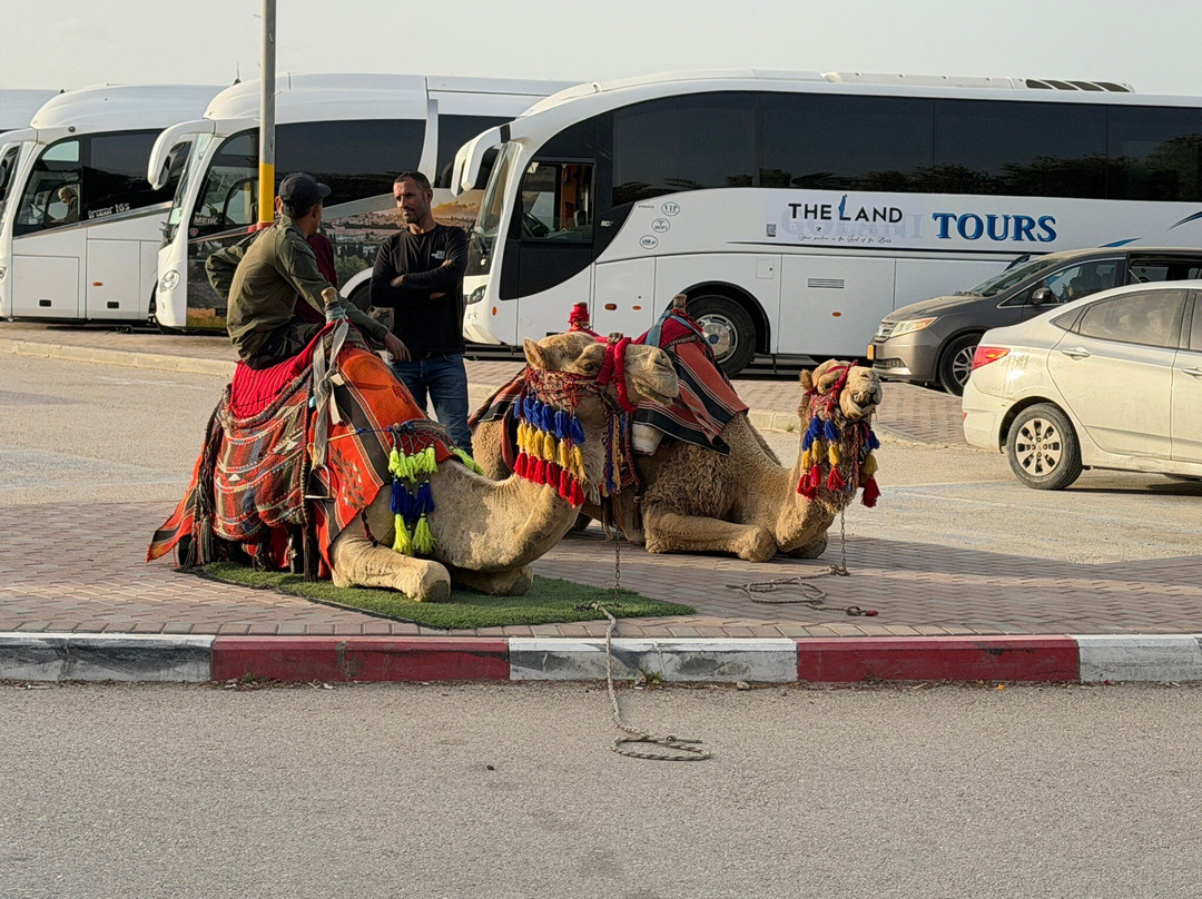 Bein Harim Tourism Services-特拉维夫必去景点