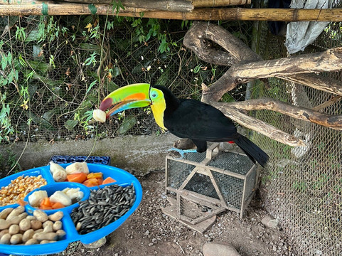 Jungla de Panama Wildlife Refuge-波魁特必去景点