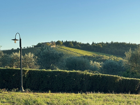 Podere Patrignone主图