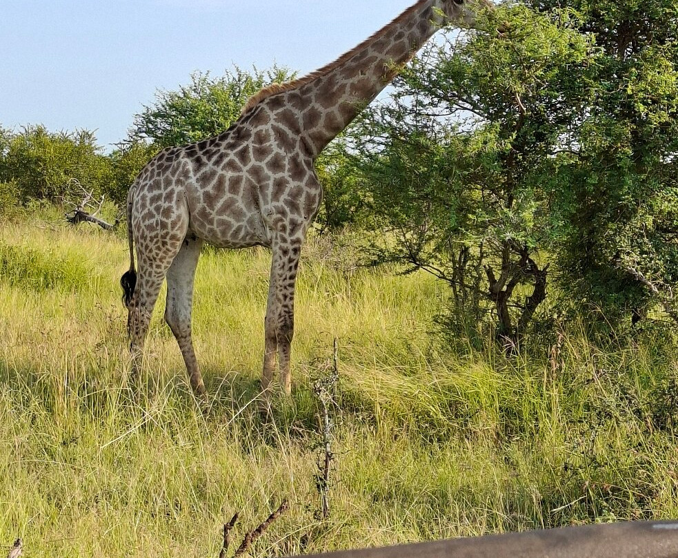Legends of Africa-霍德斯普鲁特必去景点