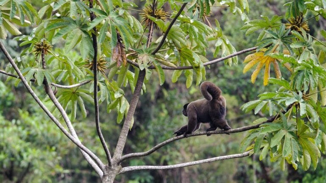 Lago Sandoval-马尔多纳多港必去景点