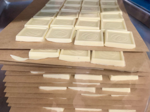 Whetstone Chocolates Tasting Tour-圣奥古斯丁必去景点