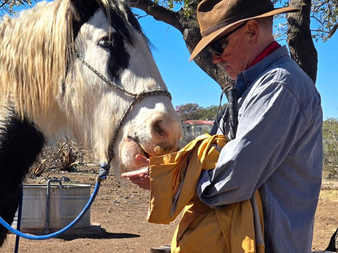 Double R Ranch-Elgin必去景点