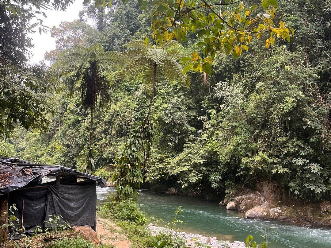 Bukit Lawang Jungle Treks-武吉拉旺必去景点