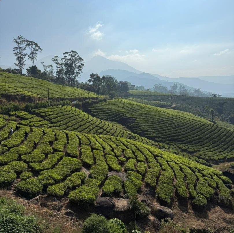 S.P. Holidays Pvt Ltd-新德里必去景点