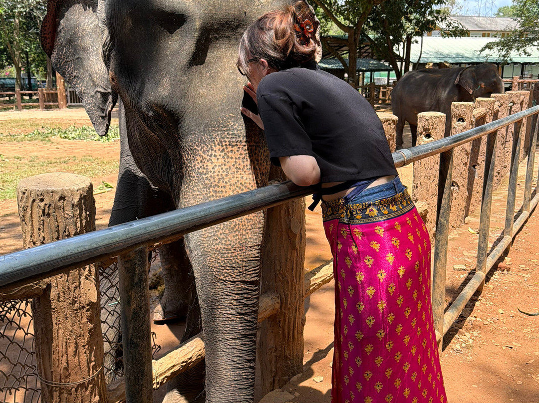 Royal Ceylon Voyage-Pelawatta必去景点