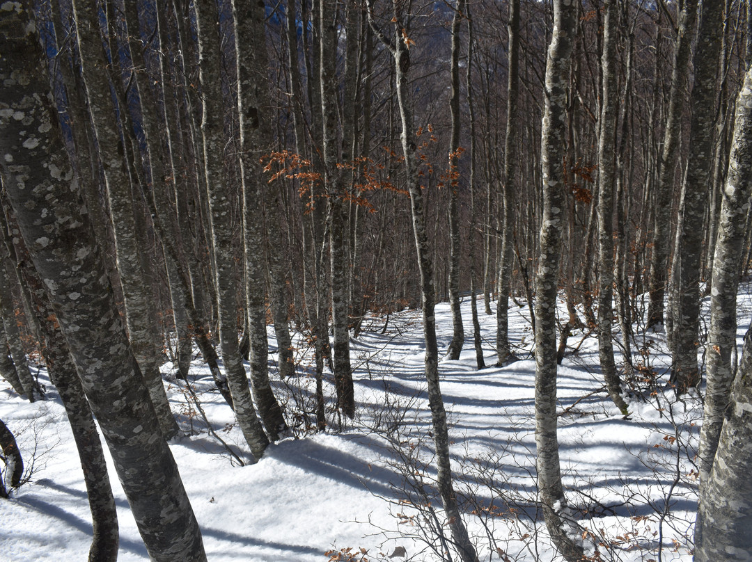 Majellando-San Valentino in Abruzzo Citeriore必去景点