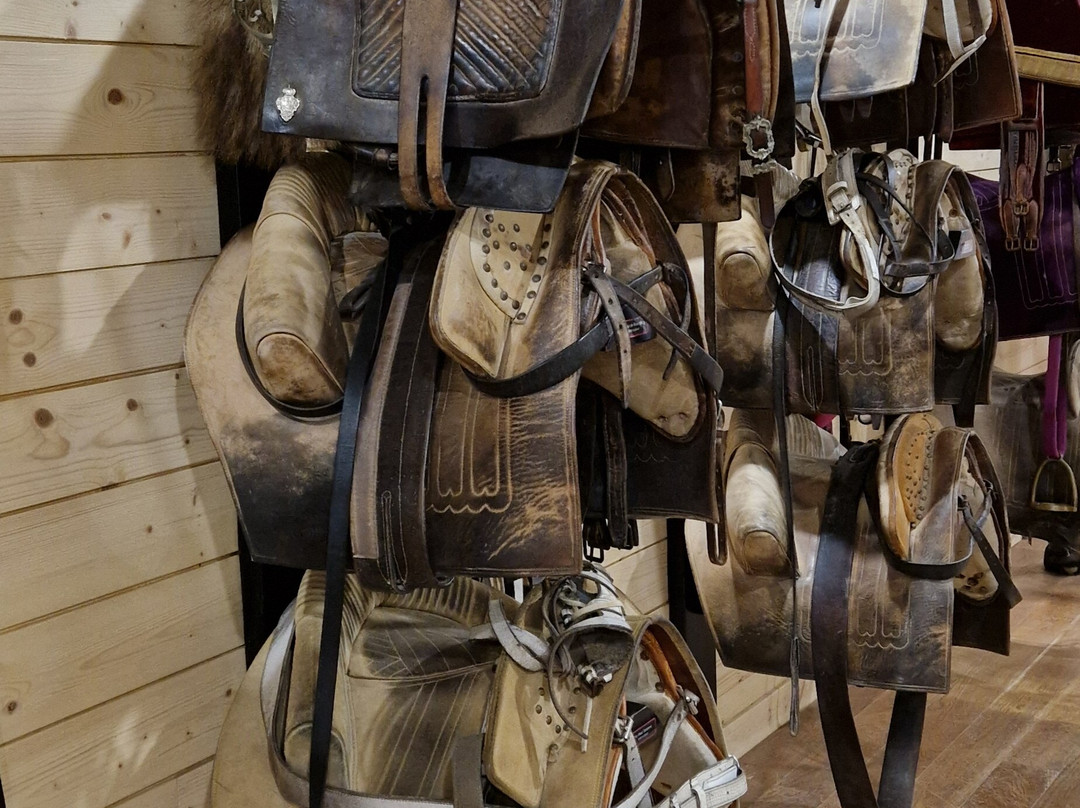 Le Cadre Noir-梭缪尔必去景点