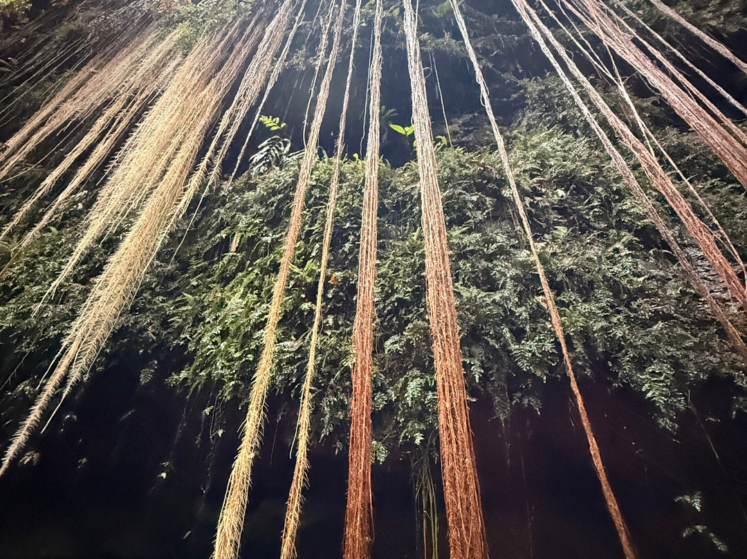 Jalapao 360° -Aventura Eco-Palmas必去景点