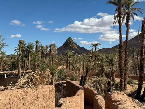 Riad Fennec Sahara主图