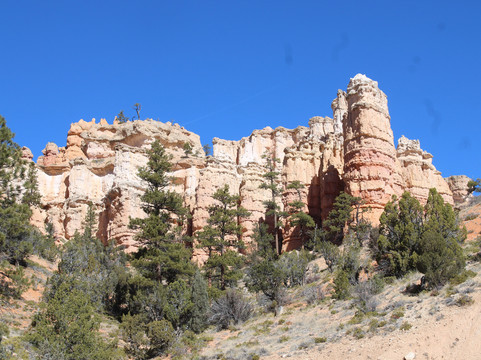 Mossy Cave Trail-布莱斯峡谷国家公园必去景点