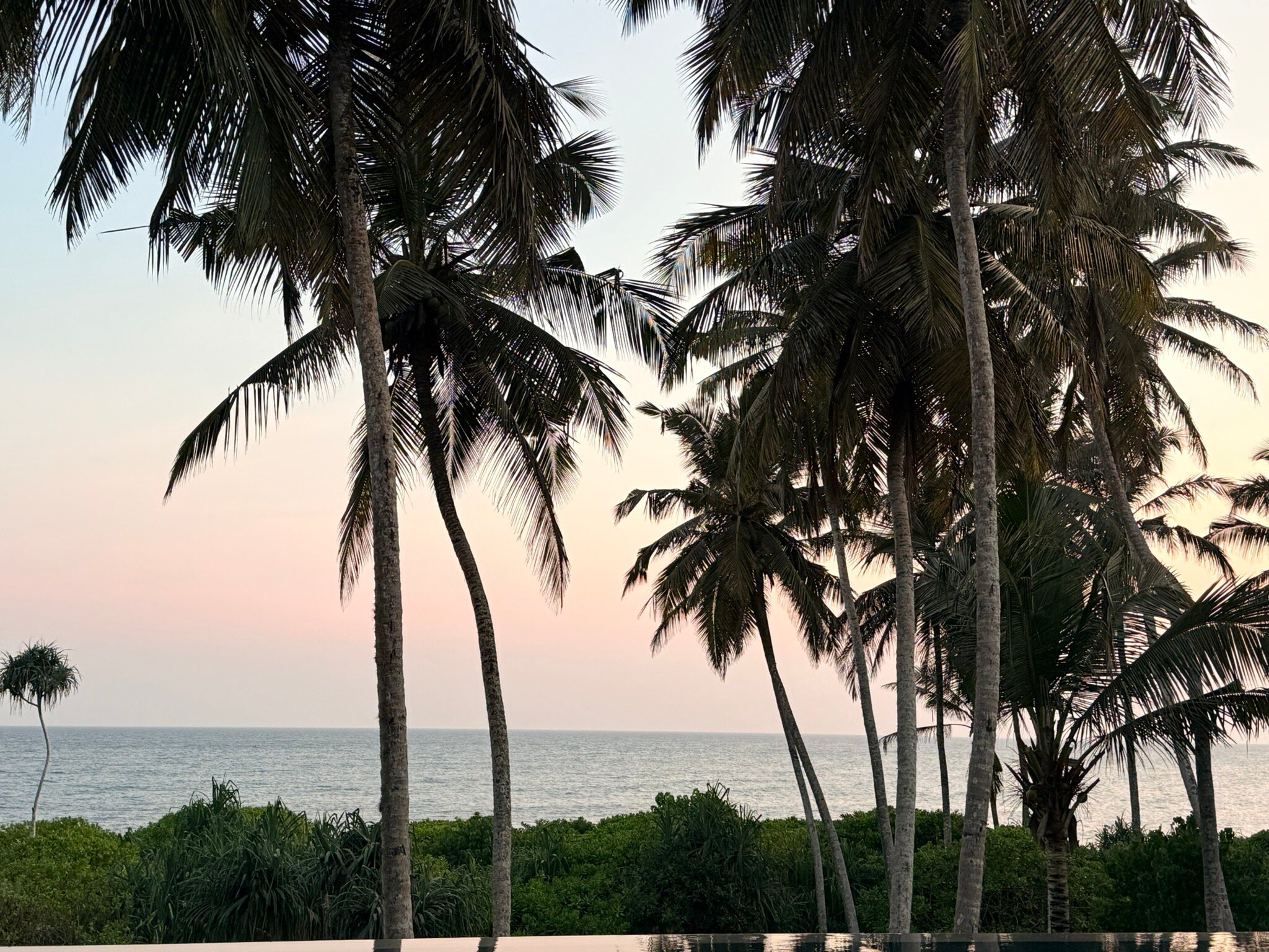 白金汉帕勒斯酒店-官方