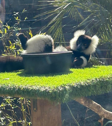 North Florida Wildlife Center-Lamont必去景点