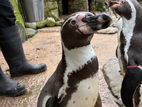 Oceanarium-伯恩茅斯必去景点