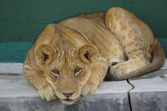 Nature Responsible Safari Uganda-恩德培必去景点
