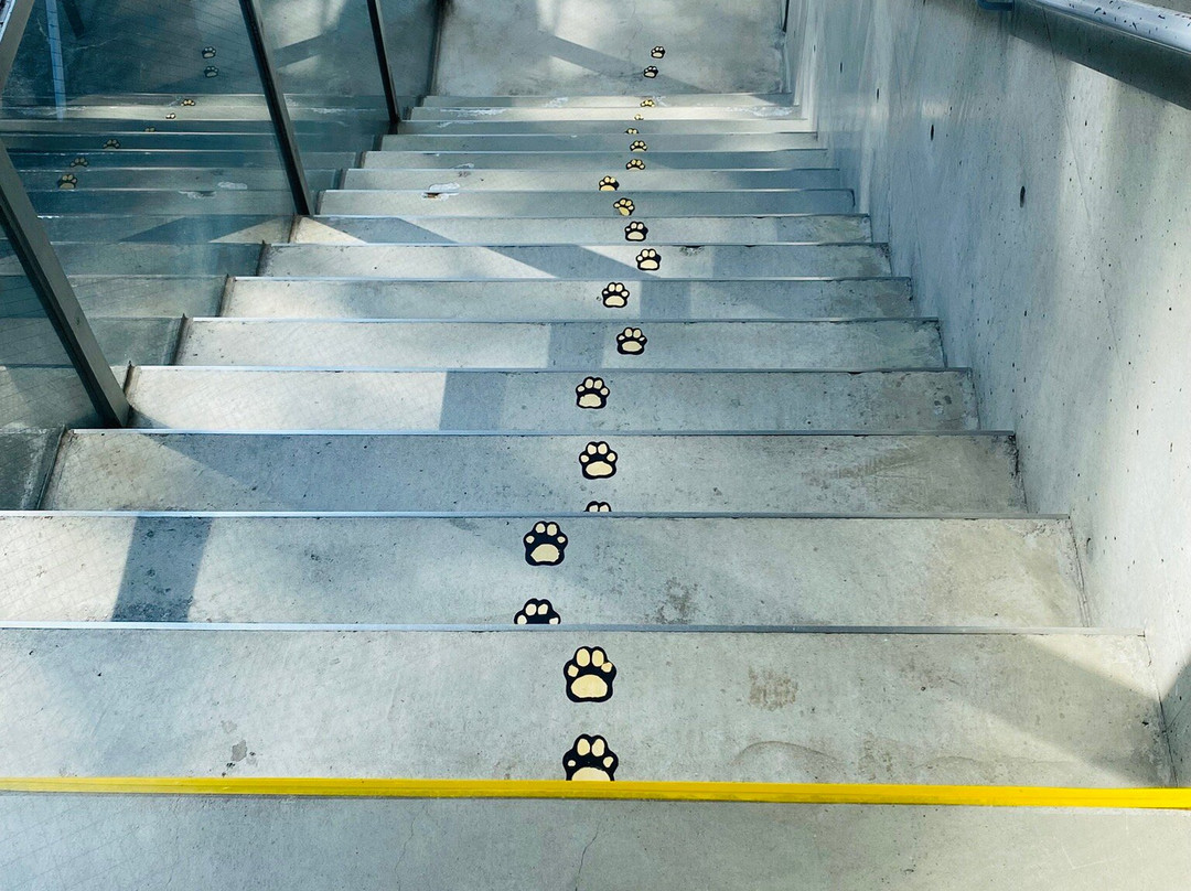 Niimi Nankichi Memorial Museum-半田市必去景点